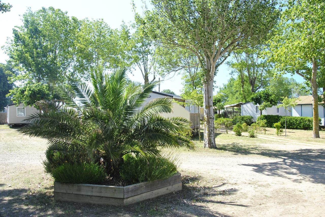 Camping La Dune Vias Εξωτερικό φωτογραφία